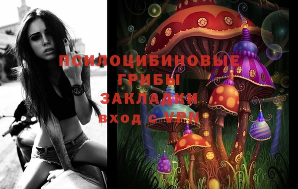 ALPHA-PVP Осинники