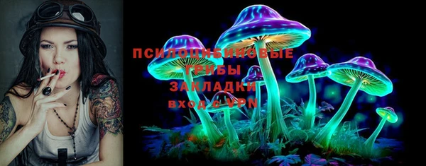 ALPHA-PVP Осинники