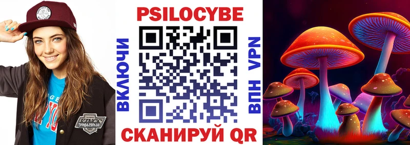 Купить где Заполярный Псилоцибиновые грибы Magic Shrooms